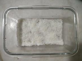 容器底部铺适量椰蓉。