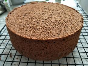 切成三片待用。