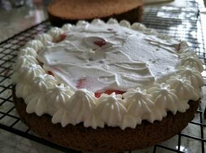 再抹一层奶油，周围补一圈奶油和水果层部分齐平。