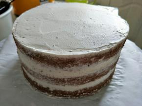 盖上一片蛋糕片，重复上一步。
顶部涂抹奶油，适当抹平，
侧面的处理:抹刀贴侧面转一圈即可。