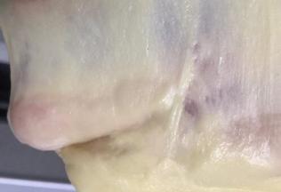 再放入黄油再次启动面包机自动和面程序，时间到后可以拉到出手膜