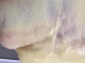 再放入黄油再次启动面包机自动和面程序，时间到后可以拉到出手膜