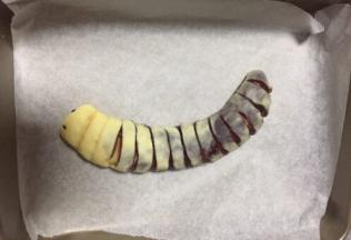 做好的毛毛虫胚造好自己觉得逼真的形态，放入烤盘，放在温暖处进行二次发酵