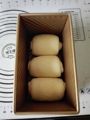 依次做完全部面团，放入土司盒中（450克的土司模具）进行二发