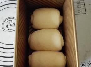 依次做完全部面团，放入土司盒中（450克的土司模具）进行二发