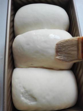 放入烤箱用发酵方式进行二发，约一个小时二发到位的面团，表面刷牛奶