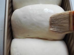 放入烤箱用发酵方式进行二发，约一个小时二发到位的面团，表面刷牛奶