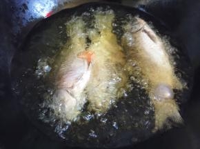 锅内放油烧至4成热，放入鲫鱼炸