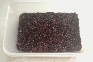 然后取适量黑米饭放入盒子中，压紧压平