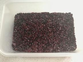 然后取适量黑米饭放入盒子中，压紧压平