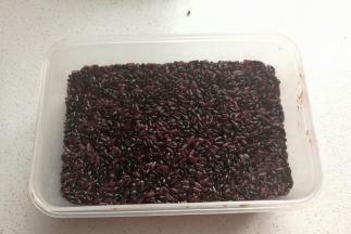 再接着放上剩下的黑米饭，继续压紧压平