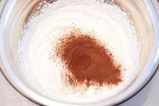 20克淡奶油加2克细砂糖，上下可可粉，打发至裱花状态