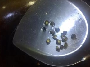 热锅下油油温七成下花椒