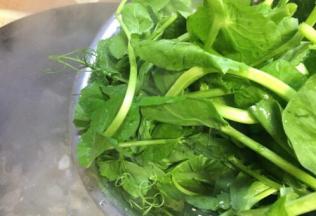 再放入豆尖，烫一下即可起锅