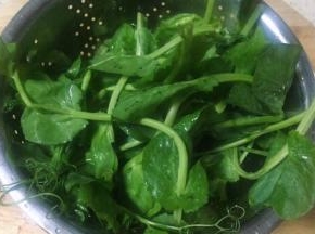 把豌豆尖打理好洗净