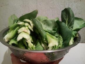 每一片菜叶都要洗到位