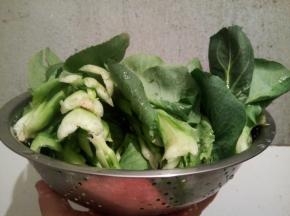 每一片菜叶都要洗到位