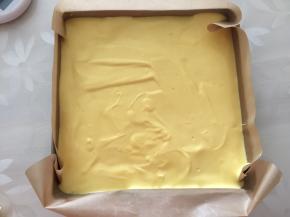 烤盘中铺上蔓越莓（我忘记拍照了）将蛋黄糊倒入烤盘中，放入预热好的烤箱140度上下火20分钟