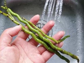 水里冲洗干净