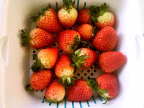 草莓洗干净，滤干水份，挑8个大小相同的去蒂，底部切成平面