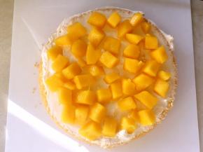 撒上适量的芒果丁