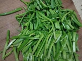 蒜苗切断