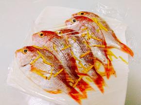 包上保鲜膜，腌制最少一个小时。（腌制的时间越久越入味）