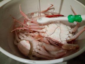 用干净牙刷仔细地把螃蟹每个角落刷干净