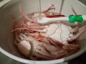 用干净牙刷仔细地把螃蟹每个角落刷干净