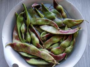 将油豆角用冷水冲洗干净。要选肉厚，豆粒饱满的豆角，我这个稍微偏老了一点，全是绿色的更嫩一些。