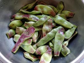 掰掉两头老筋，如果个头太长，可以掰成两半，这样也更容易熟，也入味。