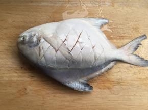 鱼洗净表面割菱形刀