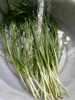韭菜割回来，冲洗干净。