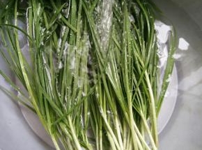 韭菜割回来，冲洗干净。