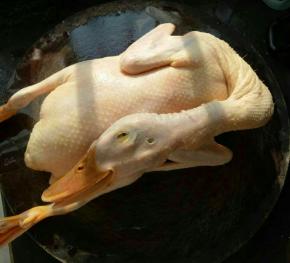 鸭子洗干净砍去鸭爪和鸭翅尖。