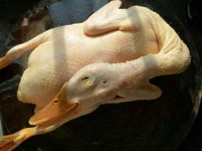 鸭子洗干净砍去鸭爪和鸭翅尖。