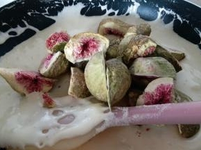 加入冻干无花果