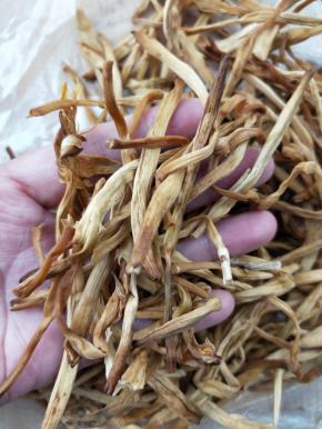 准备干黄花菜一把。