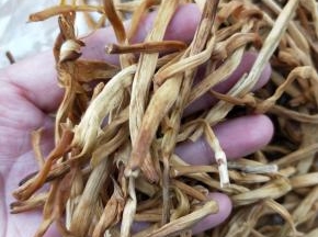 准备干黄花菜一把。