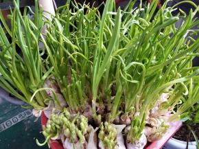 看这一盘不错吧