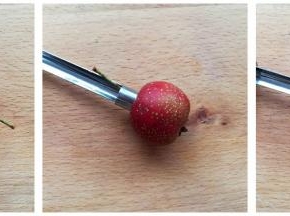 用山楂专用的去核神器，先在山楂的底部转一圈，然后从山楂的头部往前推，就可以把山楂果核清理出来了