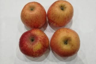 准备红富士脆苹果4个