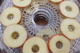 然后把苹果片一片片摆入到烘干机的托盘上，尽量不要重叠，这样烘干起来更快更均匀