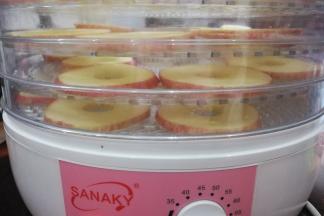 全部摆完后，把烘干机调至最高温度70度开始烘烤，中途要适时把上下层换下位置，因为下层容易干，适时调换位置烘干更快，大约七小时烘干