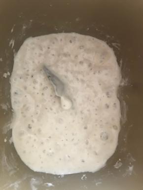 把液种材料拌匀（不用和成面团），室温发酵完成后，放入冰箱冷藏16小时以上，直到表面有明显的气泡