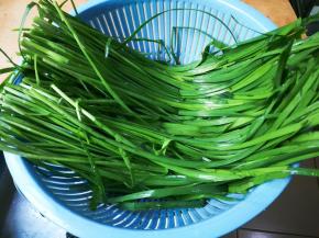 韭菜洗净