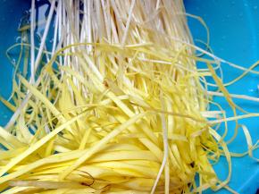 韭黄洗干净，切断备用