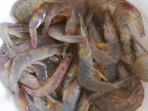 虾子洗干净备用