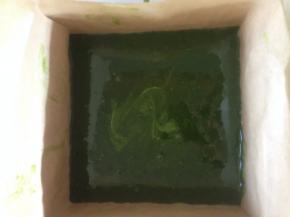 倒入冷藏好的饼干底的模具里 震一下模  入冰箱冷藏过夜