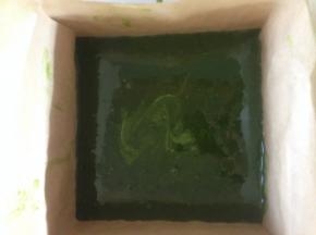 倒入冷藏好的饼干底的模具里 震一下模  入冰箱冷藏过夜